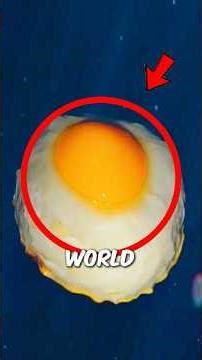 3 Weirdest Animal Eggs You Won’t Believe Are Real🧐