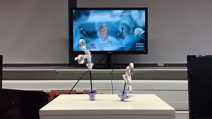 Laparoscopic Surgery Simulator