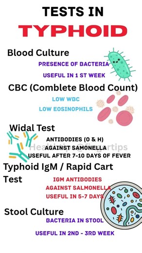 Tests 🕵In Typhoid Fever🤒😷| Investigations In Typhoid #healthylifestyle #health #doctor #healthtips