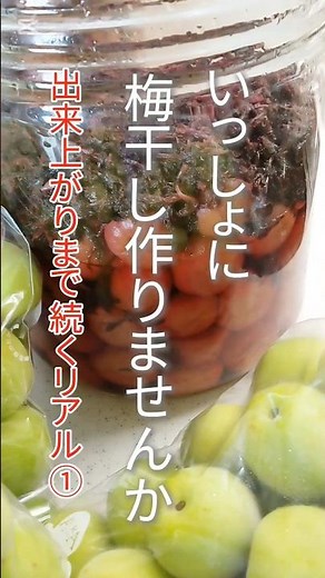 梅干し作り①｜🔰梅買ってすぐやること！追熟で失敗しないおいしい梅干し作り
