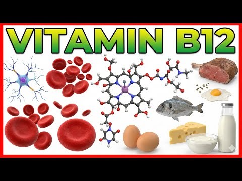 11. Vitamin B12 (Cobalamin) 🧬⚡ | Functions, Absorption & Deficiency | MBBS Biochemistry