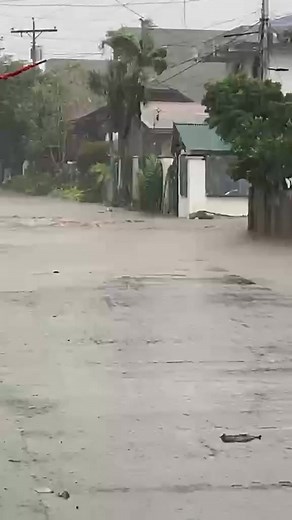 Mdrrmo Bula Camarines Sur on Reels