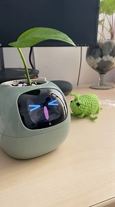AMIKOS LAS MACETAS INTELIGENTES SON REALES LAS PLANTAS YASE COMUNICAN LOS ALIENS YA NOS VAN A LLEVAAAAAR!!!!!! @ivy_plantsio_official TE TRAE LAS MACETITAS INTELIGENTES! ESTA SUPER GENIAL me emocionó mucho porque ustedes saben que yo amo las plantas AAAAAA | Cherri