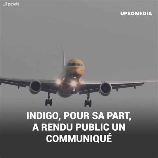“On ne parle pas ainsi aux membres de l’équipage !” Une hôtesse de l’air et un passager ont été acteurs d’une dispute au beau milieu d’un vol en direction de Delhi. Le voyageur voulait un dîner spécial, mais l’équipage n’a pas pu lui donner ce qu’il désirait. Furieux, il a commencé à durement critiquer les hôtesses de l’air, faisant d’ailleurs pleurer l’une d’elle. C’est alors qu’une autre employée s’est dressée face à lui. Et pleine de rage, elle a défendu ses collègues. | Formidable