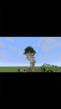 How to make an awesome custom Birch tree in minecraft.