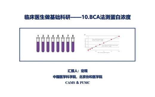 临床医生做基础科研——10.BCA法测蛋白浓度