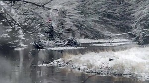 3.9K views · 139 reactions | Sing along!!! A special Christmas song!...