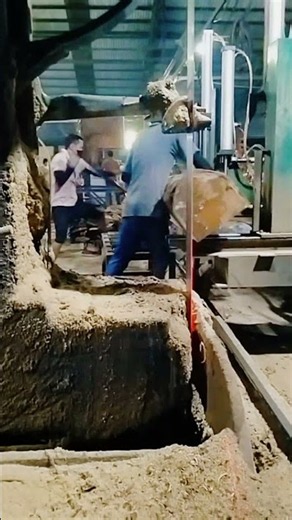 Vertical Band Sawmill in action