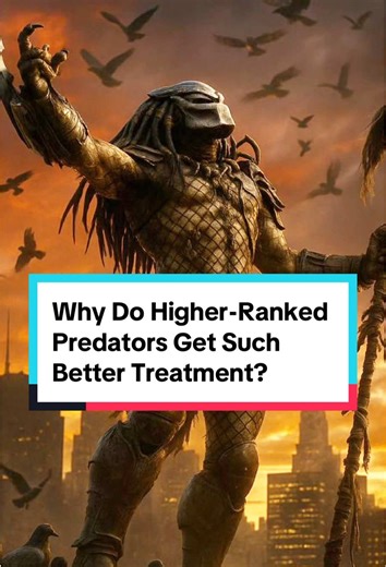 Understanding Treatment of Higher-Ranked Predators