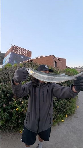 Southern California Saltwater Fishing #fishing #fish #shark #bassfishing #beach #angler #starfish