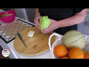 Dehydrating Romaine Lettuce