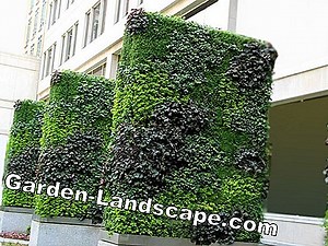 Other: Vertical Garden: Design Ideas And Tips - My Beautiful Garden | 2025