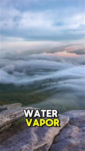 Relative Humidity vs Absolute Humidity#aviation #aircraft #airframeandpowerplant #physics