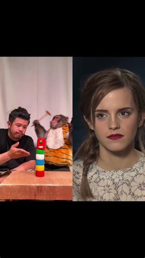 #emmawatson #monkey #funny #fyp
