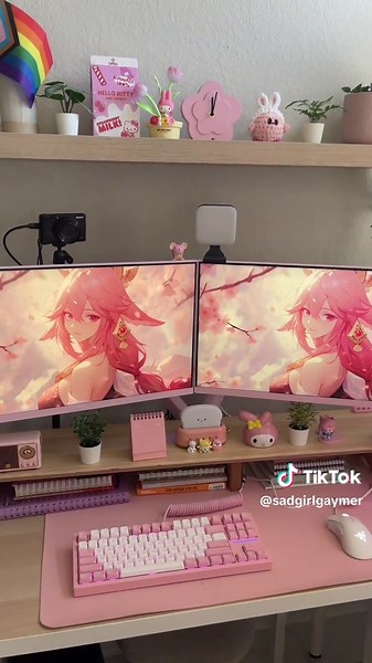Upgrading to a Pink Dual Monitor Stand for Gamers
