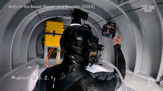 136K views · 814 reactions | Take a look back at our favorite Belly of the Beast: Feeding Frenzy (2023) and Bigger and Bloodier (2024) moments! Dive into the depths with a fearless team as they deploy a massive 29-foot whale decoy to ignite a feeding frenzy—hoping to reveal the ocean’s dominant "Queen Boss" great whites. And in a bold first, researchers brave the chaos inside a life-sized whale decoy! #SharkWeek returns July 20 on Discovery! | Discovery | Facebook