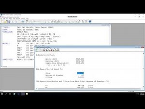 Mplus CFA Partial Metric Invariance (item)