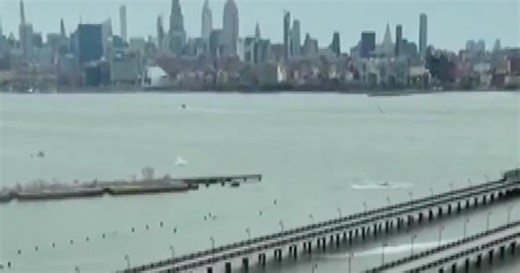 Helicopter crash in New York City claims six lives, including three children