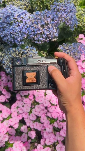 Every Fujifilm Film Simulation on X-Pro3