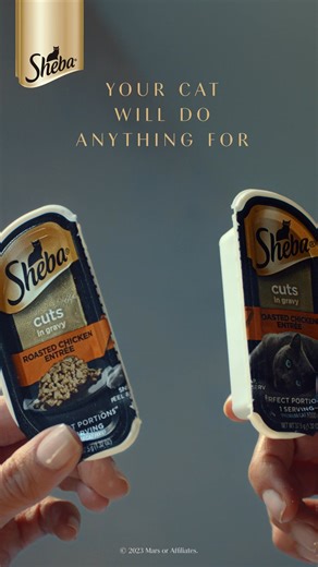 18K views · 3 comments | You’ll do anything for their nuzzle, they’ll do anything for Sheba | Sheba | Facebook