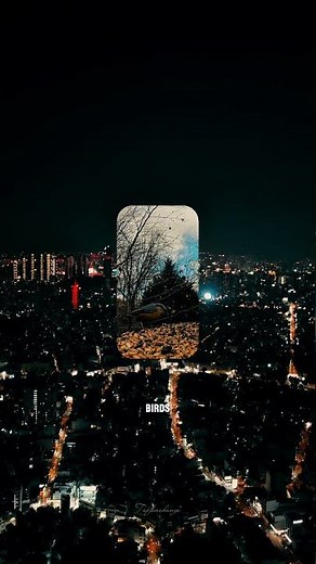 Light Pollution Effects