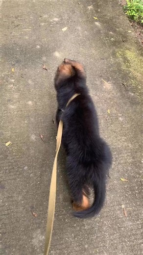 198K views · 6.5K reactions |  | Drago Team | Facebook