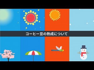 コーヒーの基礎知識⑨生豆の熟成について