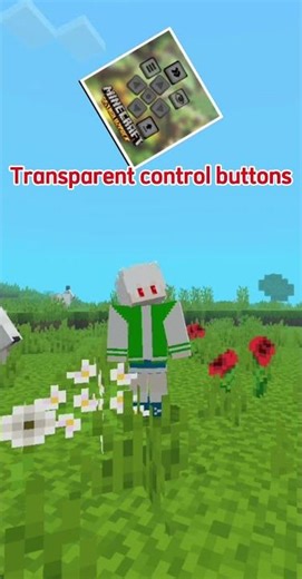 Mod/Addon to hide movement buttons, jump button, settings button, and chat button in Minecraft PE...