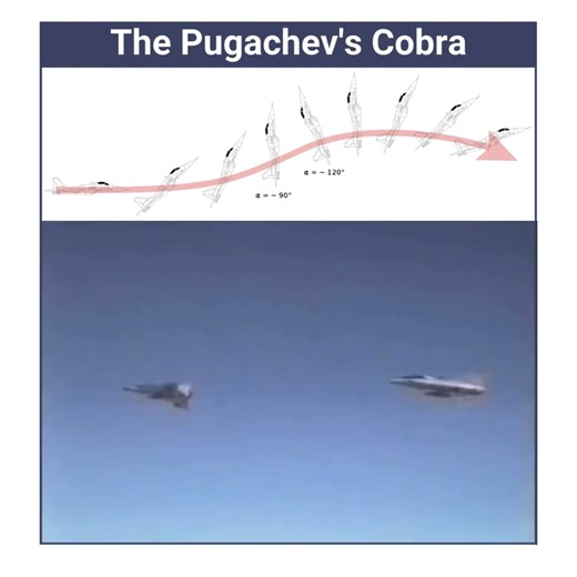 3.6M views · 11K reactions | DID YOU KNOW?  The Pugachev's Cobra...