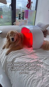 Trust the process✨ @projectebeauty #redlighttherapy | Culinory Pet