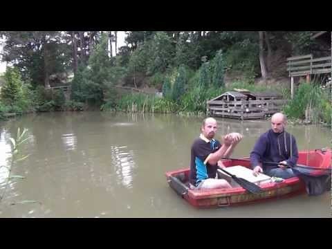 Electrofishing / Electro Fishing my Pond - Part 1