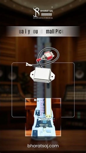 Upgrade Your Banjo Sound 🔥 Premium Parts by Bharat Saj 🎸