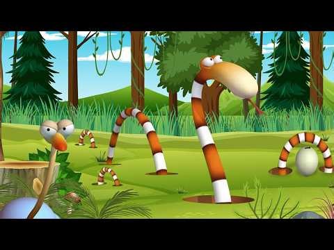 Parque Infantil en la Selva | Gazoon Español | Animales divertidos para niños #playground
