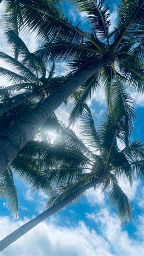 1.4K views | The right gear + the right knowledge = could save a life. Is your first aid training up to date? | Survival | Facebook