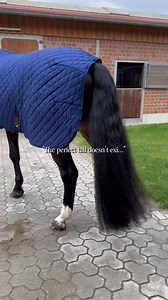 This is your sign to take tail care seriously ✨ For glossy, hydrated, breakage-free hair, you need the Terrific Tails Kit. A complete, premium system designed to nourish, strengthen and transform your horse’s tail from root to tip. Because exceptional care creates exceptional tails. Link here: https://www.hairypony.com.au/products/horse-tail-grooming-kit | Hairy Pony