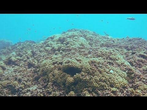 Microbes and the Environment