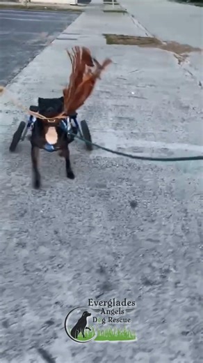 1.5K views · 116 reactions |  Did you know Kelly lost the use of her...