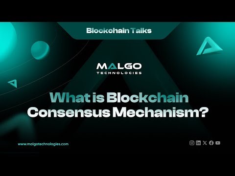 What Is a Consensus Mechanism in Blockchain? | Blockchain Consensus Mechanism: Easy Guide | Malgo