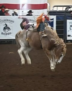 Powder River Rodeo LLC on Reels