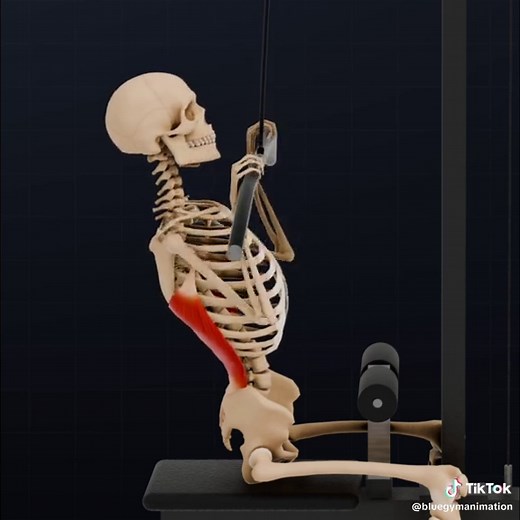 Desarrollo de Dorsales: Técnica y Crecimiento Muscular