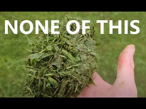 How to Mow Without Leaving Grass Clumps (Tips From a Pro)