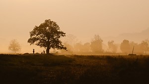 The Right Tool for the Job