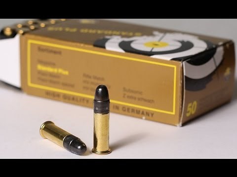 SK Standard Plus 22LR Review