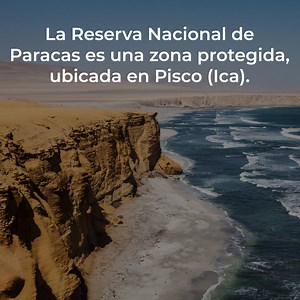 42K views · 381 reactions | ¡La Reserva Nacional de Paracas, nos demuestra que en el mar la vida es mejor! Este paraíso natural es un sin fin de experiencias fascinantes: navegar por sus islas Ballestas en compañía de lobos marinos, bañarte en sus playas o admirar su enorme biodiversidad  | Visit Peru | Facebook
