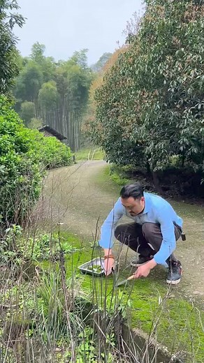 72K views · 1.5K reactions | Beautiful creative ideas of Moss indoor plant design ❤❤ #diy #amazingvideo #Awesome #moss #plants #indooridea #indoorplant #mossart #trees #art #tree #plant #homedecor #handmade #naturelovers #microlandscape #landscape #decoration #decorate #mossidea #mossarrangement #microlandscape #microart #artgallery #mossartist | Moss CraftIdeas | Facebook