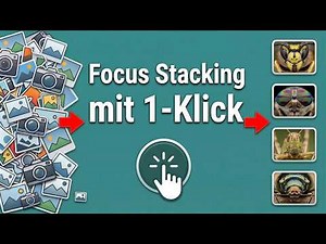 From photo chaos to perfect macro: Focus stacking fully automated! (Macro photography)