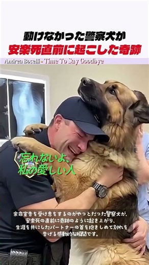 動かないはずの体が最後にパートナーへ贈った感謝#感動#愛犬#泣ける動画#Shorts