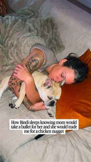 It is what it is 🤷‍♀️ #frenchbulldog #frenchiesofinstagram #frenchie #dogmom #dogsofinstagram | Amber Brennan