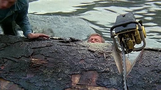 Иногда великая идея... (1970) / Sometimes a Great Notion (1970)