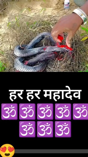 priya_gupta❤️🥰 on Instagram: "lipstick #shadowsense #senegencedistributor #mysenelook #tipsensedistributor #beauty lipstick addict lipsticklover lipgloss lipstik senegencei nternational kissproof smudgeproof20m skincare lipmatte waterproofmakeup हुआ makeuptuto pinklipstic12m lipsmatte lipboss powerlips makeup artist lipstikhalal : kosmetikviral details1m"